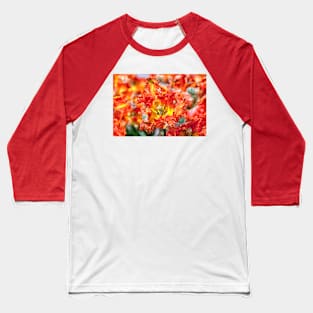 Close up of orange tulip Baseball T-Shirt